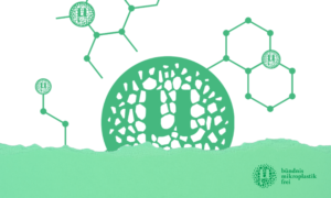 Das Logo des bündnis mikroplastikfrei als Teaser für den Jahresbericht 2025